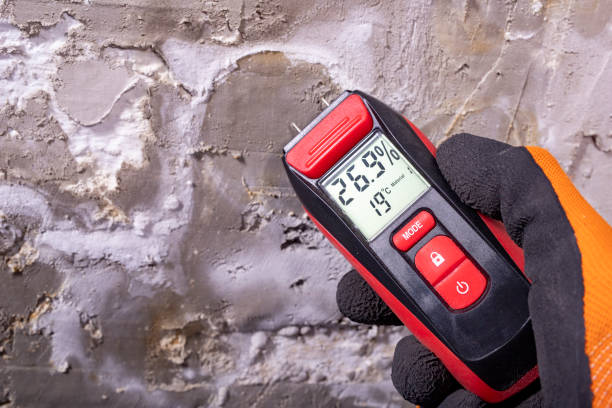 Best Mold Removal Company Near Me  in Harrison, OH