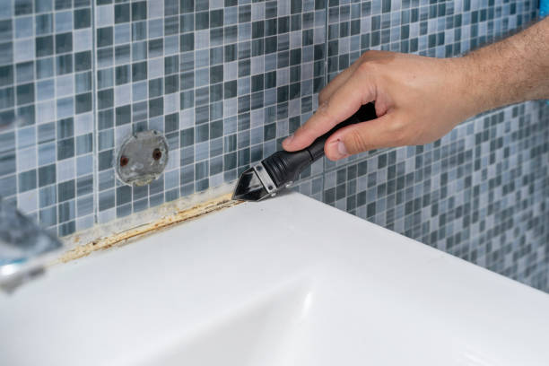 Best Mold Removal Near Me  in Harrison, OH